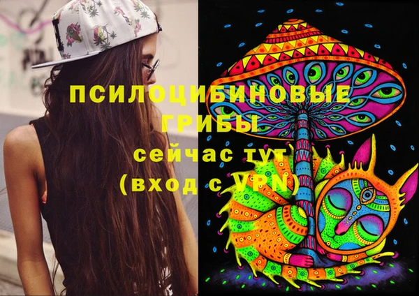 мдма Пролетарск