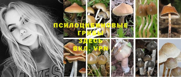 кокс Алзамай