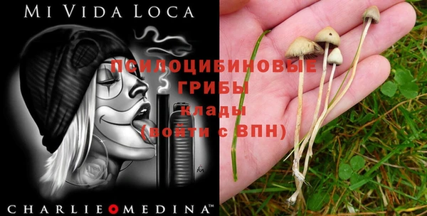 ECSTASY Приозерск