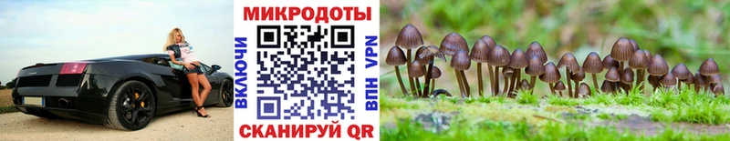 Галлюциногенные грибы MAGIC MUSHROOMS  Бологое 